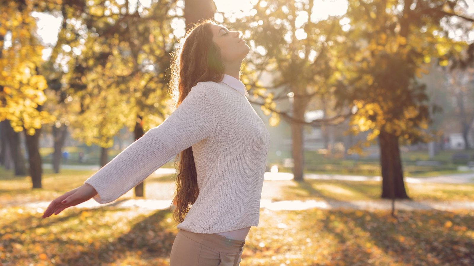 xr:d:DAFEWsHGev0:631,j:40684456653,t:22111119